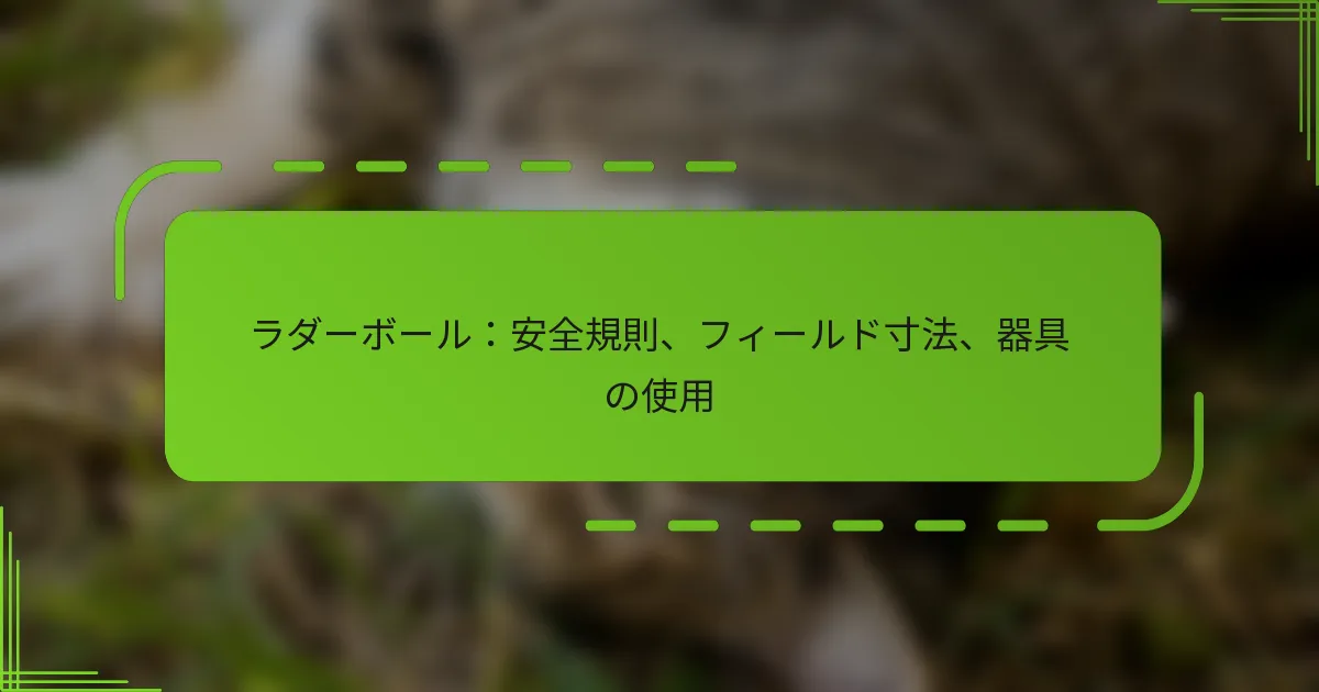 ラダーボール：安全規則、フィールド寸法、器具の使用
