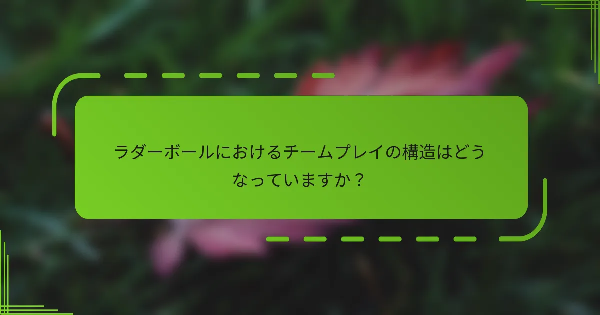 ラダーボールにおけるチームプレイの構造はどうなっていますか？