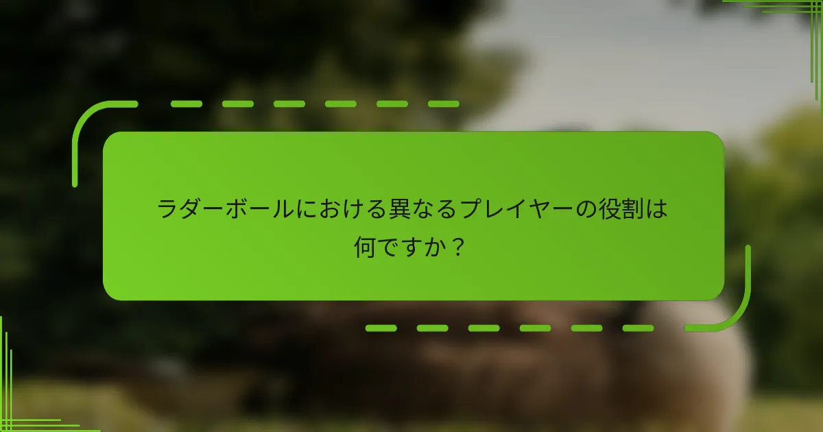 ラダーボールにおける異なるプレイヤーの役割は何ですか？
